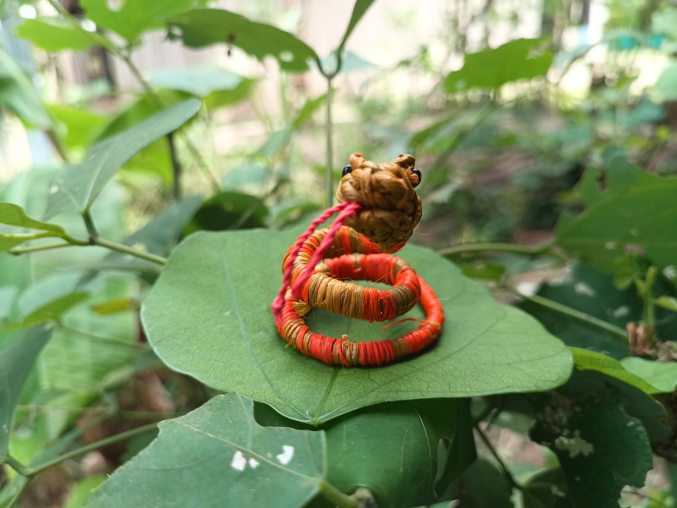 Serpiente del Amazonas - Imagen 5