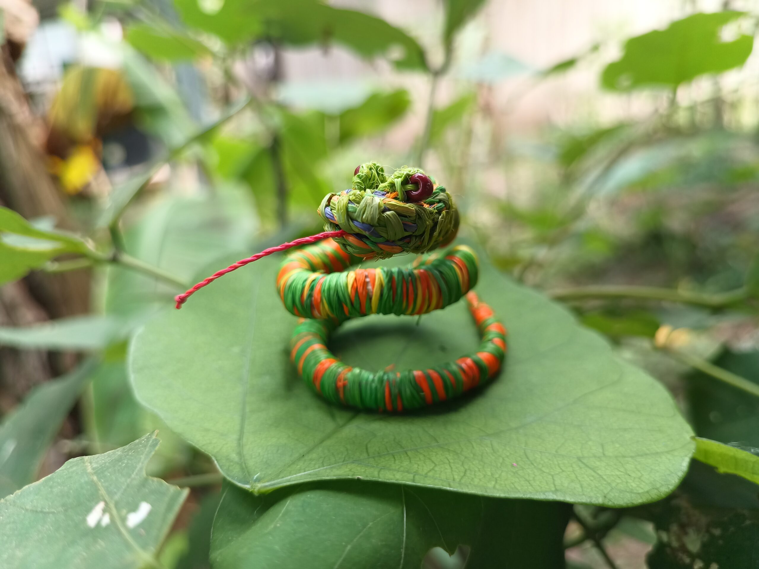 Serpiente del Amazonas - Imagen 2