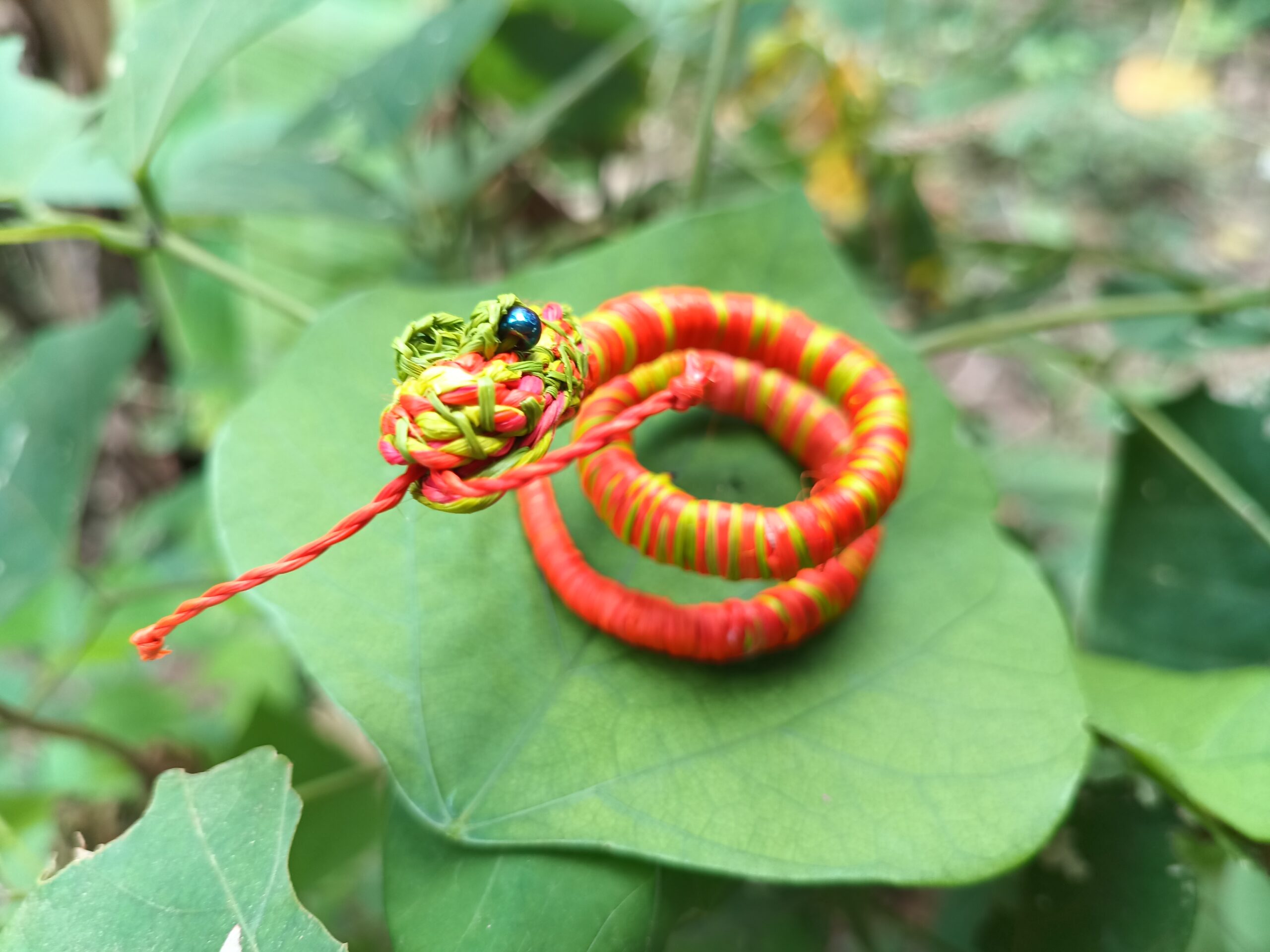 Serpiente del Amazonas - Imagen 4