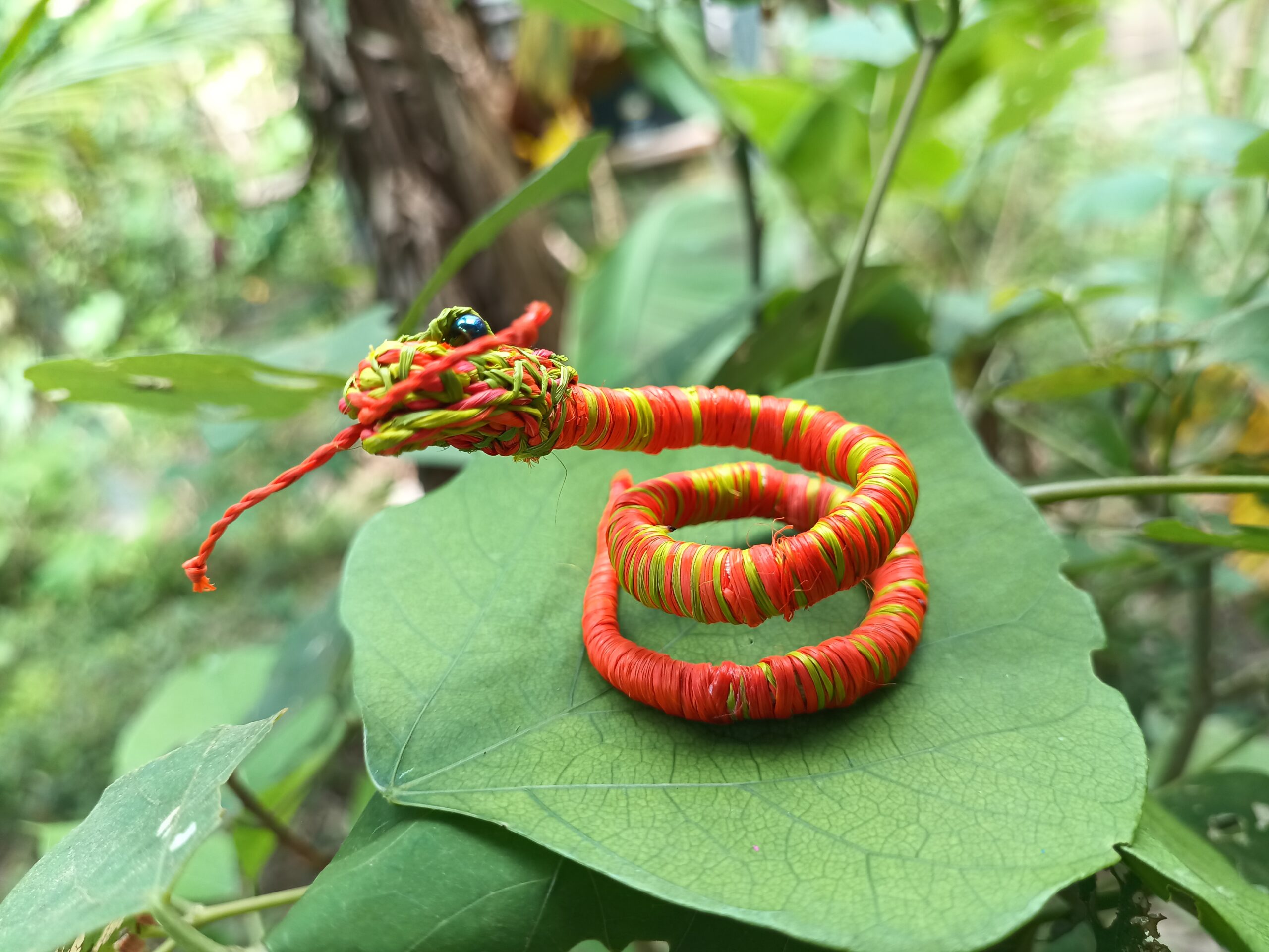 Serpiente del Amazonas - Imagen 6