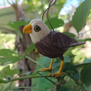 Águila calva de chambira