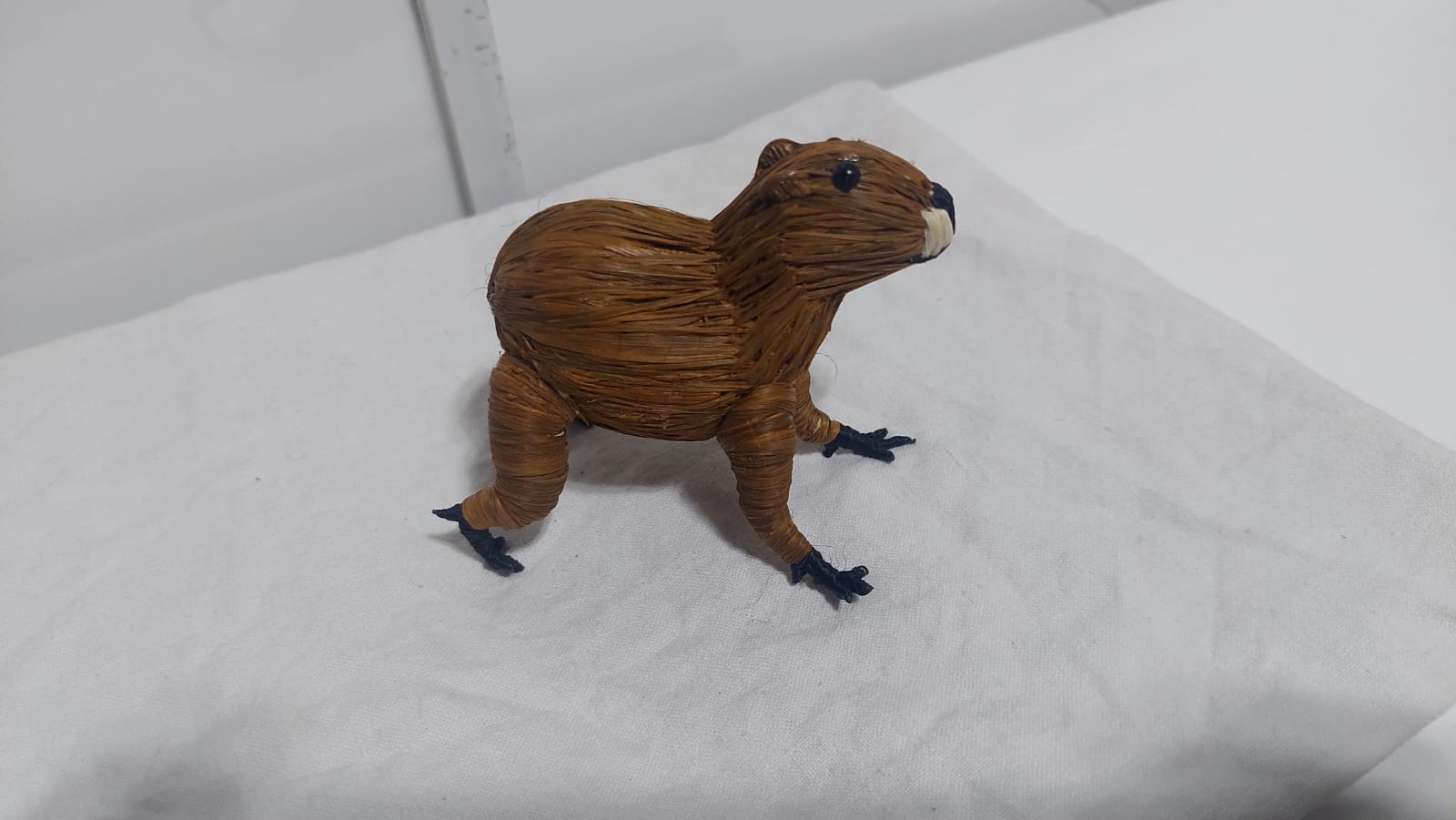 Nutria Amazónica